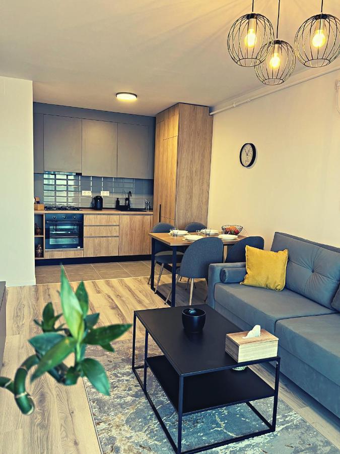 Panoramic Forest View Apartment Dumbravita  Exteriör bild